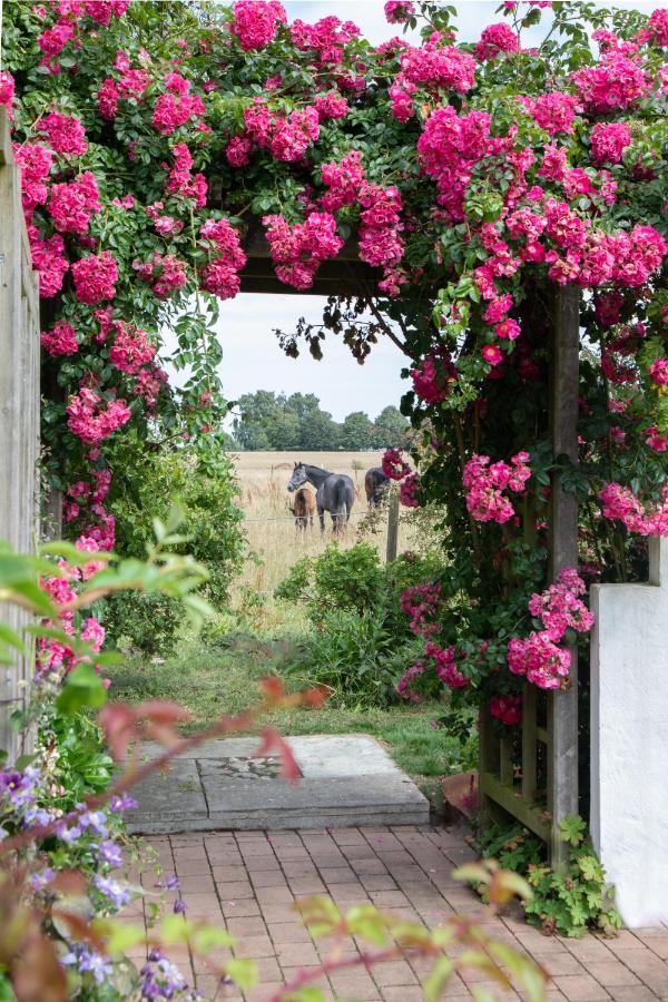 Villa Verde Oesterlen Glemminge 外观 照片